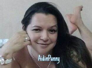 AidinPunny