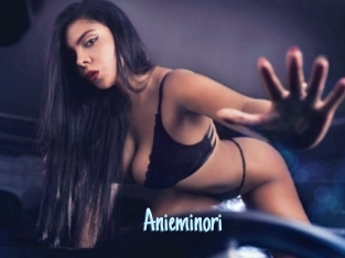 Anieminori
