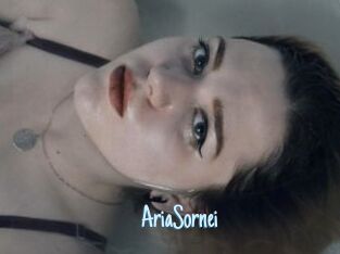 AriaSornei