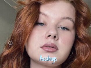 Accabuys