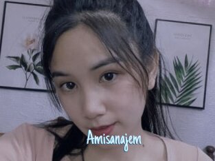 Amisanajem