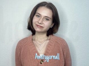 Amitygornall