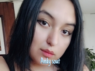 Andy_sout