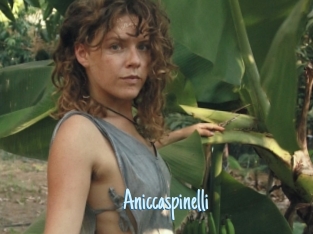 Aniccaspinelli