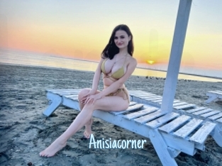 Anisiacorner