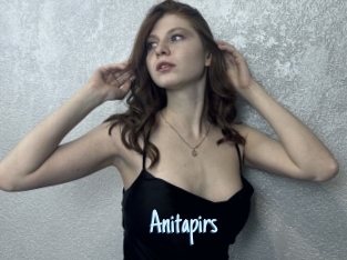 Anitapirs