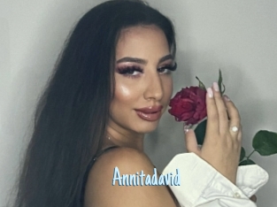 Annitadavid
