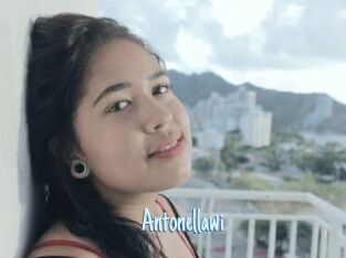 Antonellawi