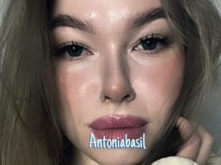 Antoniabasil