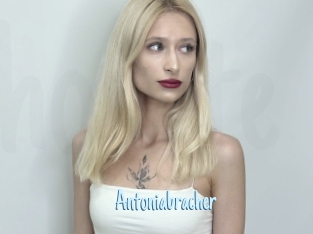 Antoniabracher