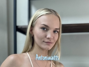 Antoniacatts