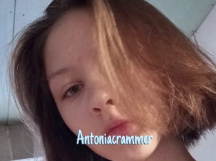 Antoniacrammer
