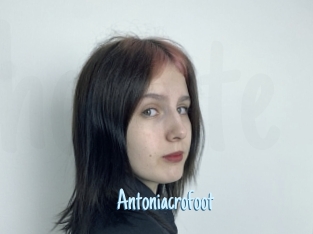 Antoniacrofoot