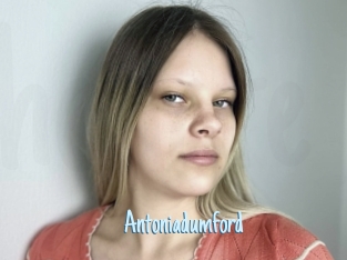 Antoniadumford