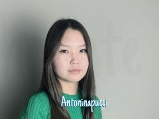 Antoninapucci