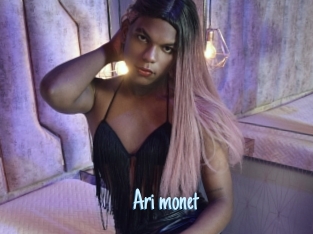 Ari_monet