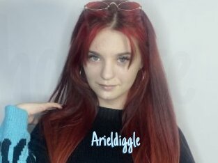 Arieldiggle