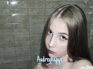 Audreybagge