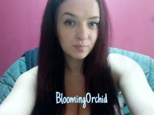 BloomingOrchid