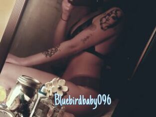 Bluebirdbaby096