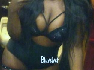 Bluvelvet