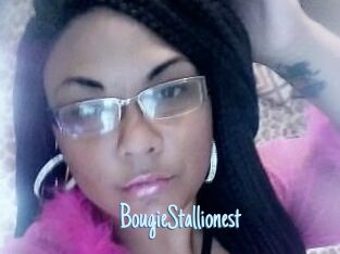 BougieStallionest