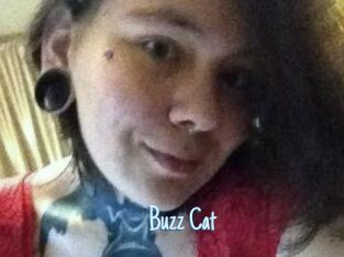 Buzz_Cat