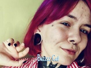 Buzzzz_Cat