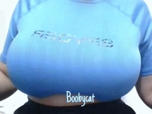 Boobycat
