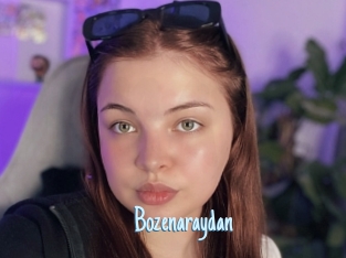 Bozenaraydan