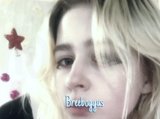 Breeboggus