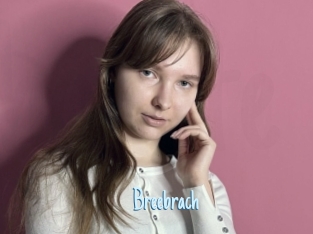 Breebrach