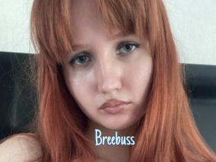 Breebuss