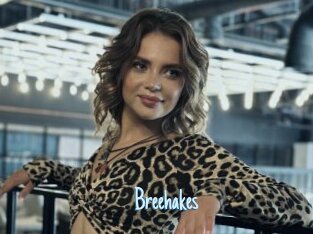 Breehakes
