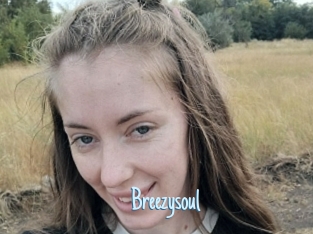 Breezysoul