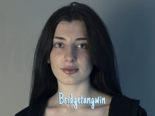 Bridgetangwin