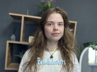 Brimladevetts