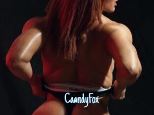 CaandyFox