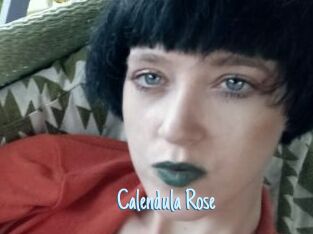 Calendula_Rose