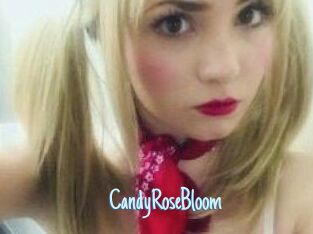 CandyRoseBloom