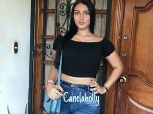 Canelaholly