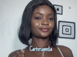 Cartercamelia