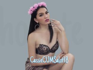 CassieCUMSalot18