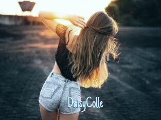 DaisyColle