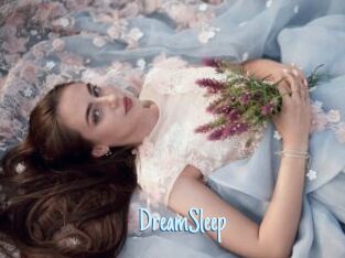 DreamSleep