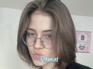 Dinamint