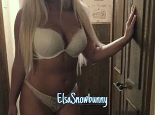 ElsaSnowbunny