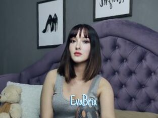 EvaBrix