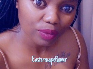 Easterncapeflower