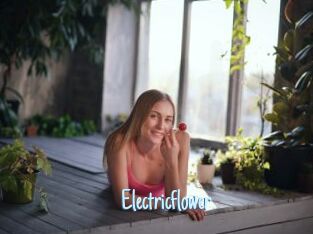 Electricflower